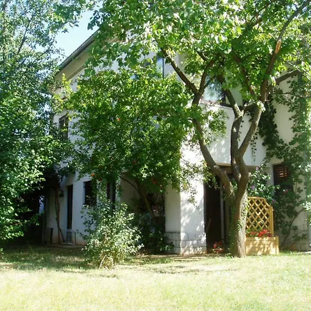 Apartment Plavi